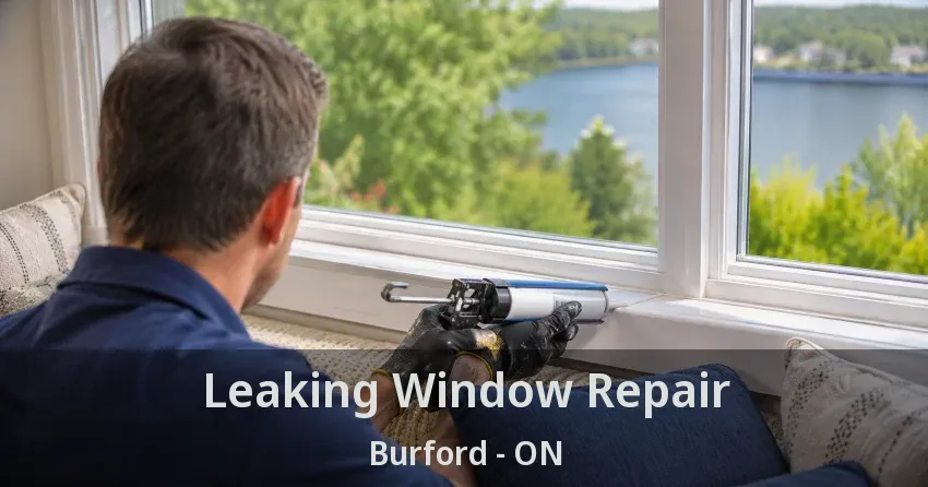 Leaking Window Repair Burford - ON