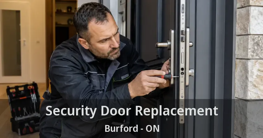 Security Door Replacement Burford - ON